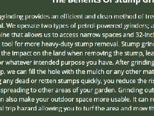 Stump Removal Services