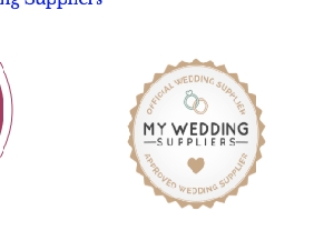 Butterfly Wedding Supplies