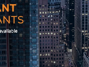 CapEx Associates