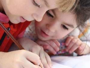 Student Assignment Help
