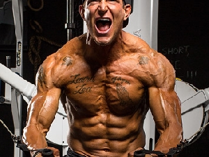  Elite Fitness Redditch Ltd